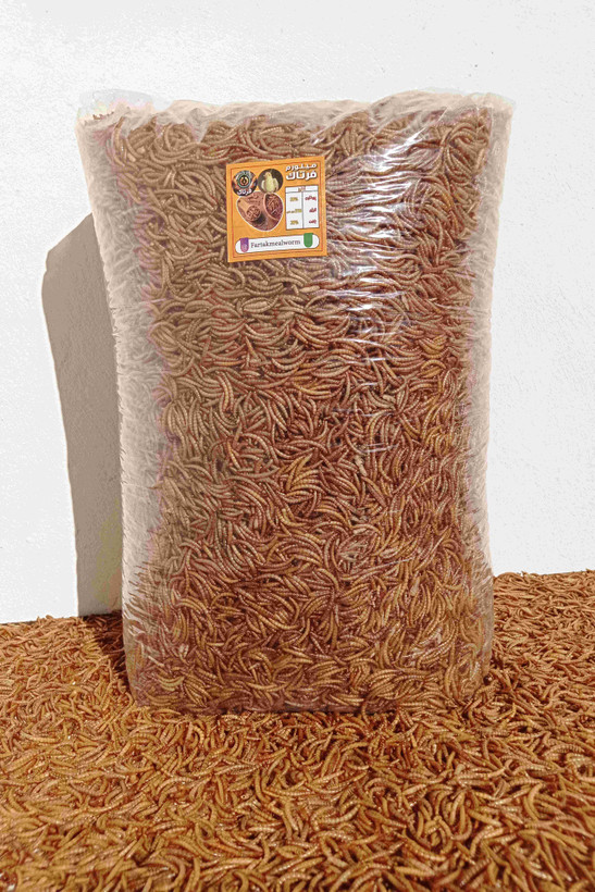 میلورم خشک طلایی سایز درشت بسته ۶ کیلویی