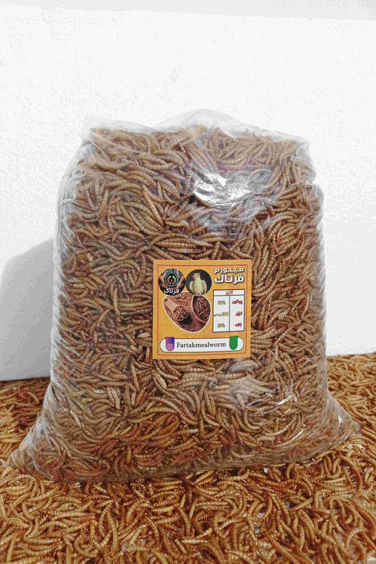 میلورم خشک طلایی سایز درشت بسته ۱ کیلویی