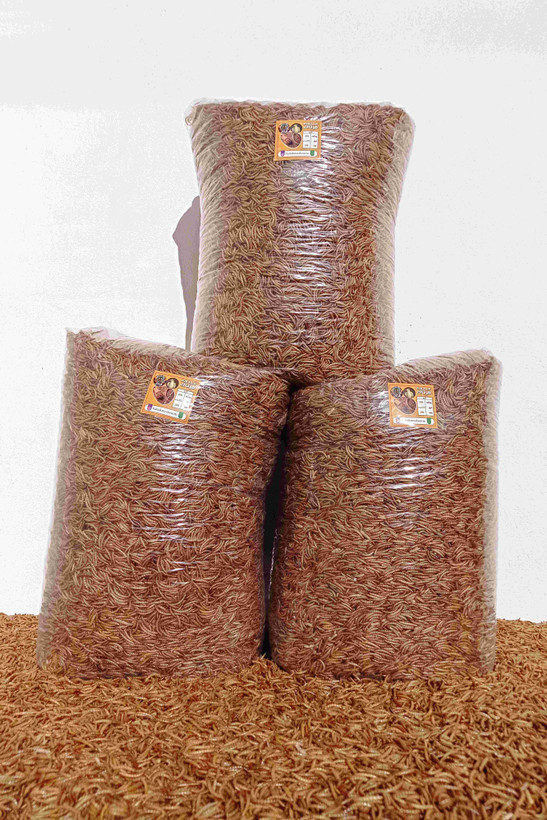 میلورم خشک طلایی سایز درشت بسته ۱۸ کیلویی